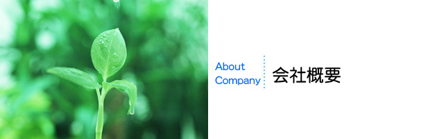 会社概要 会社概要